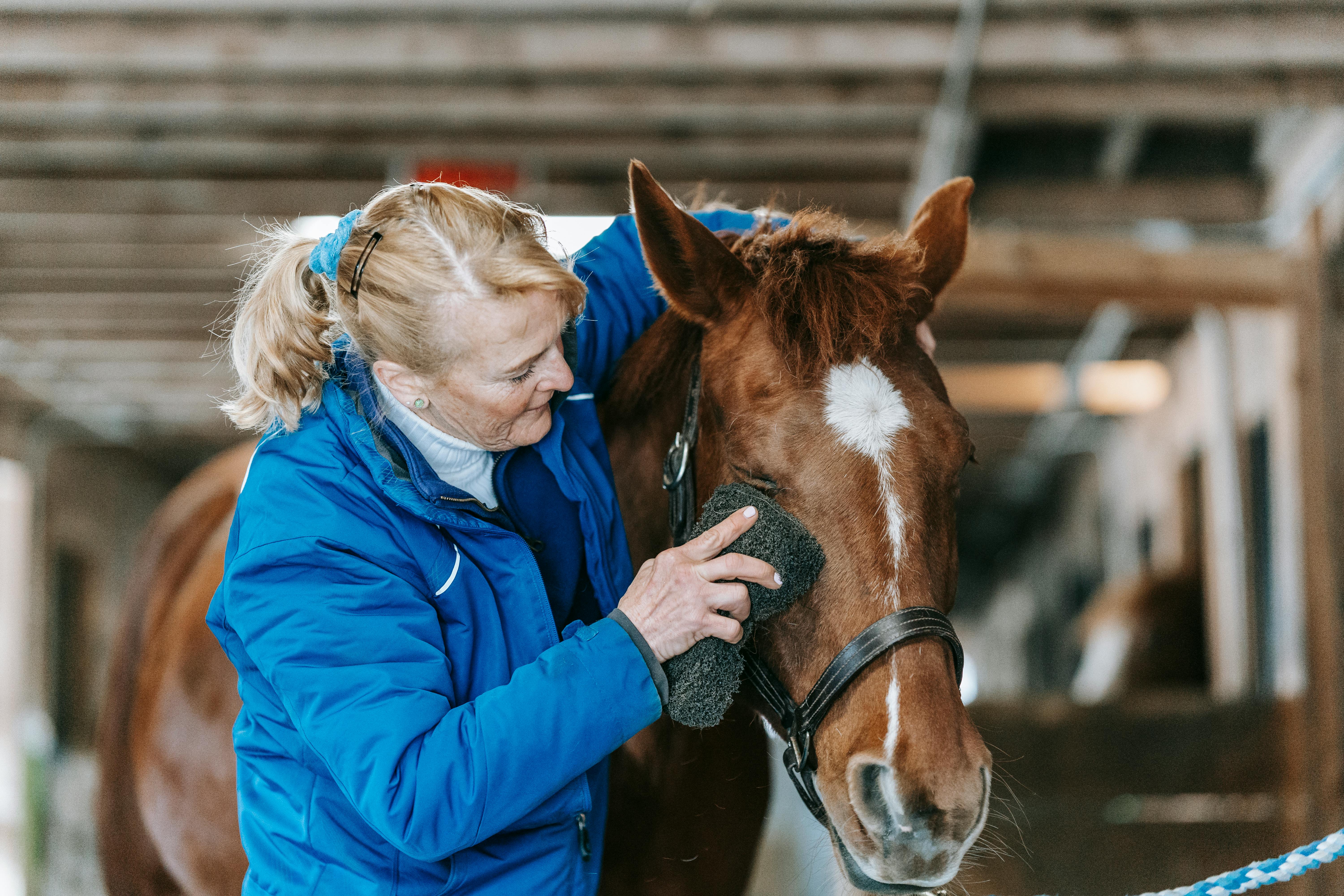 Close-up of a Woman Grooming a Horse