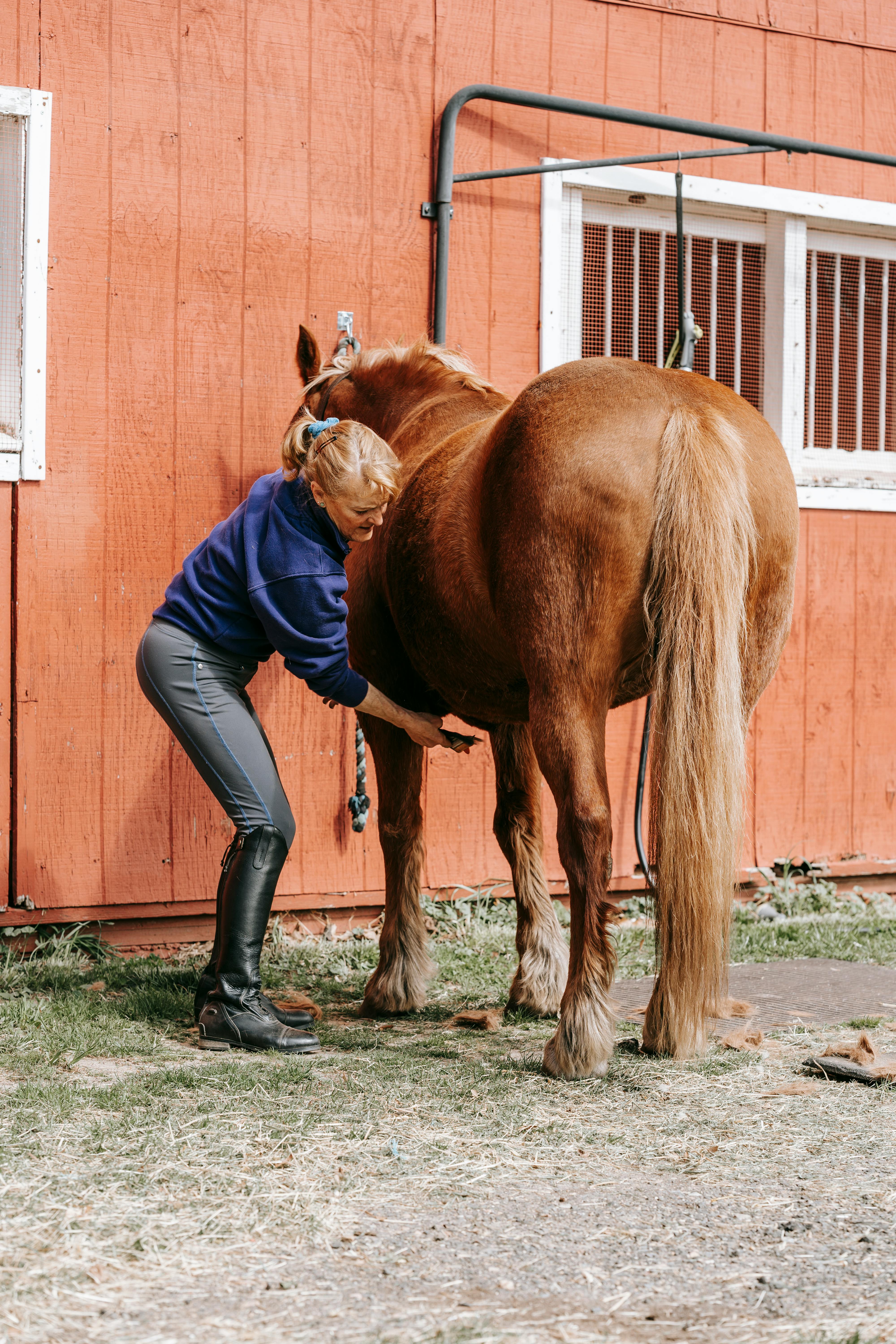 woman standing next to a brown horse