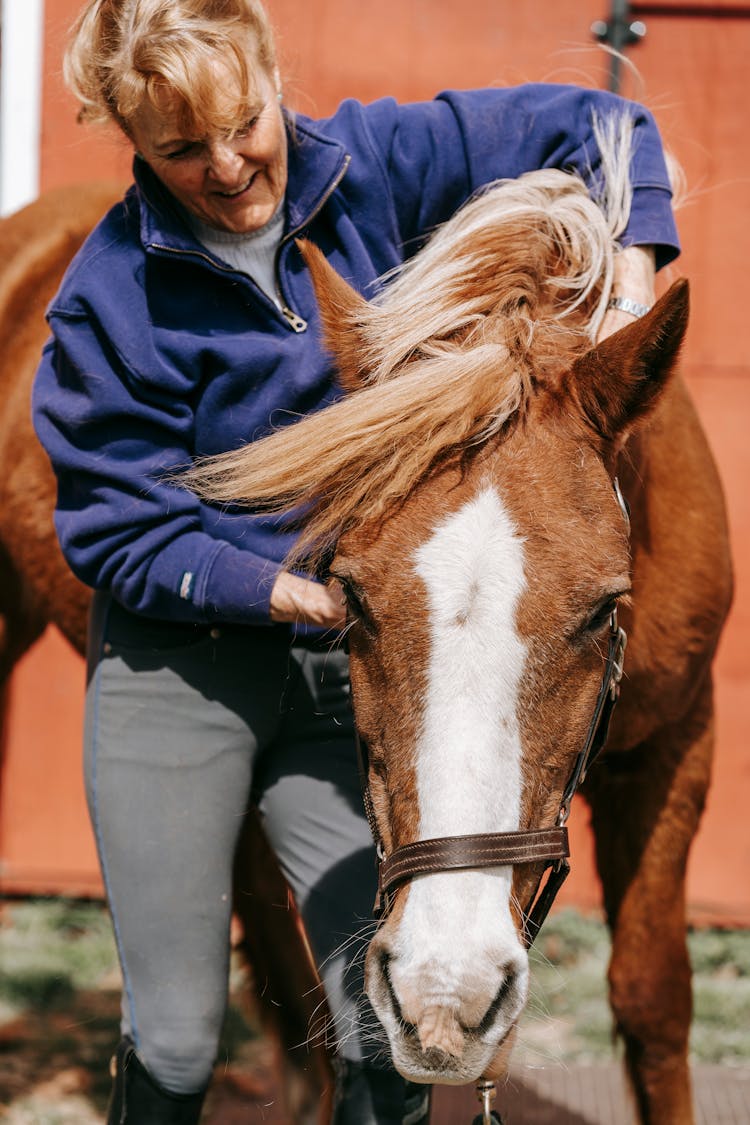 Woman Hugging A Brown Horse