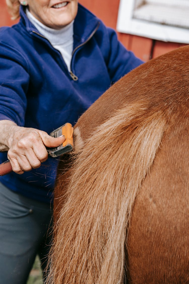 Person Brushing A Brown Animal