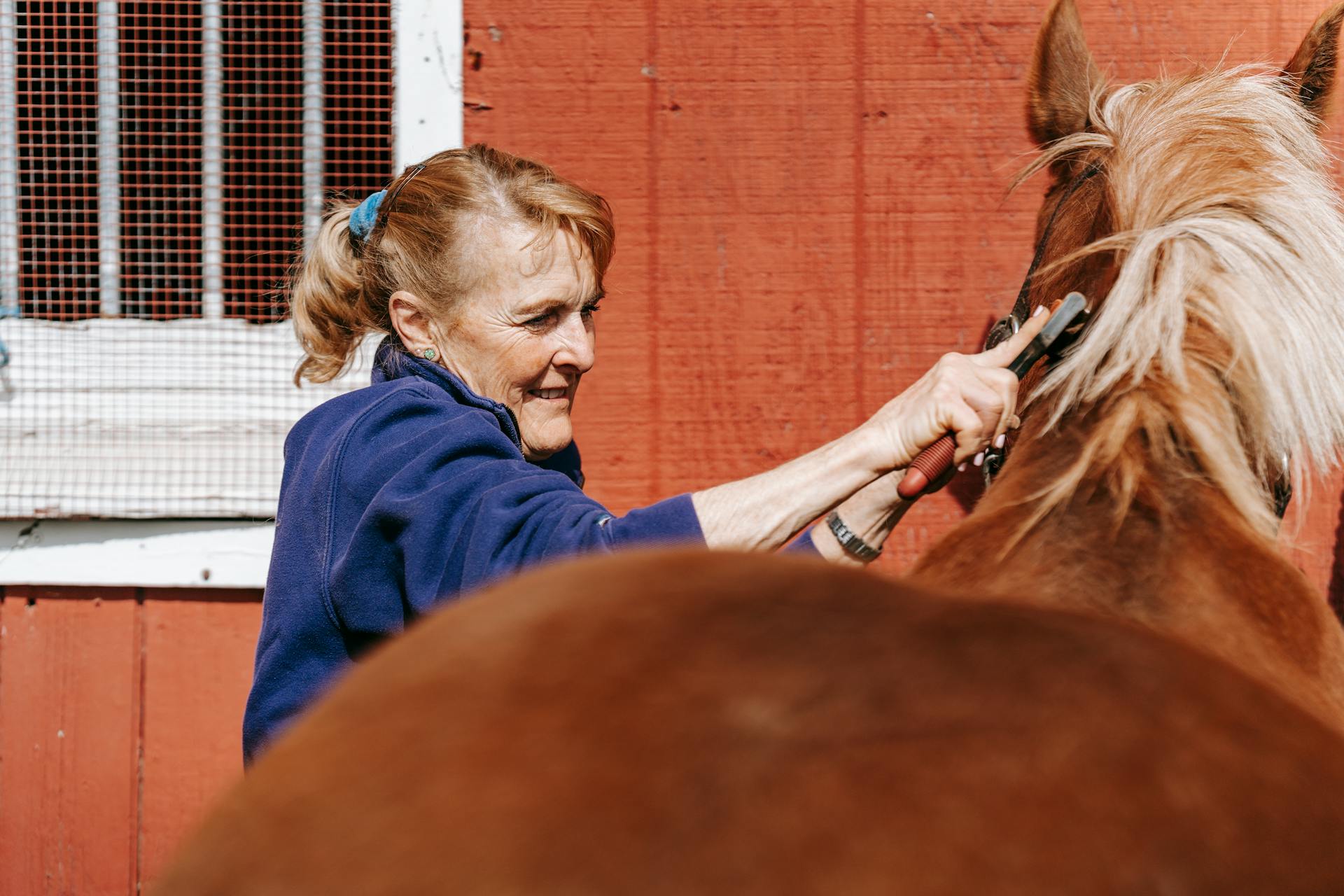 Senior Woman Grooming Horse