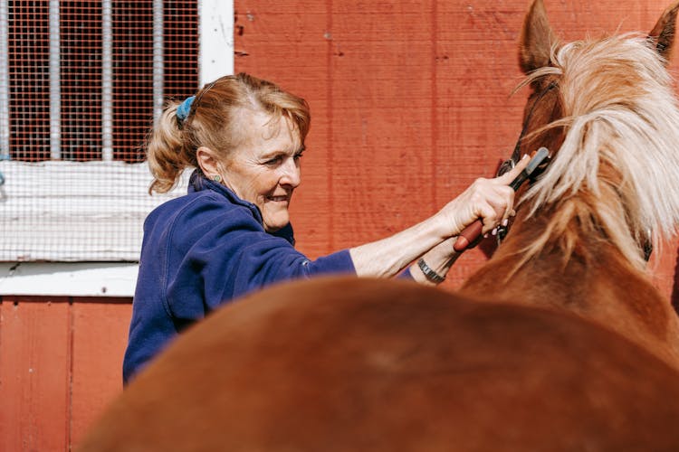 Senior Woman Grooming Horse