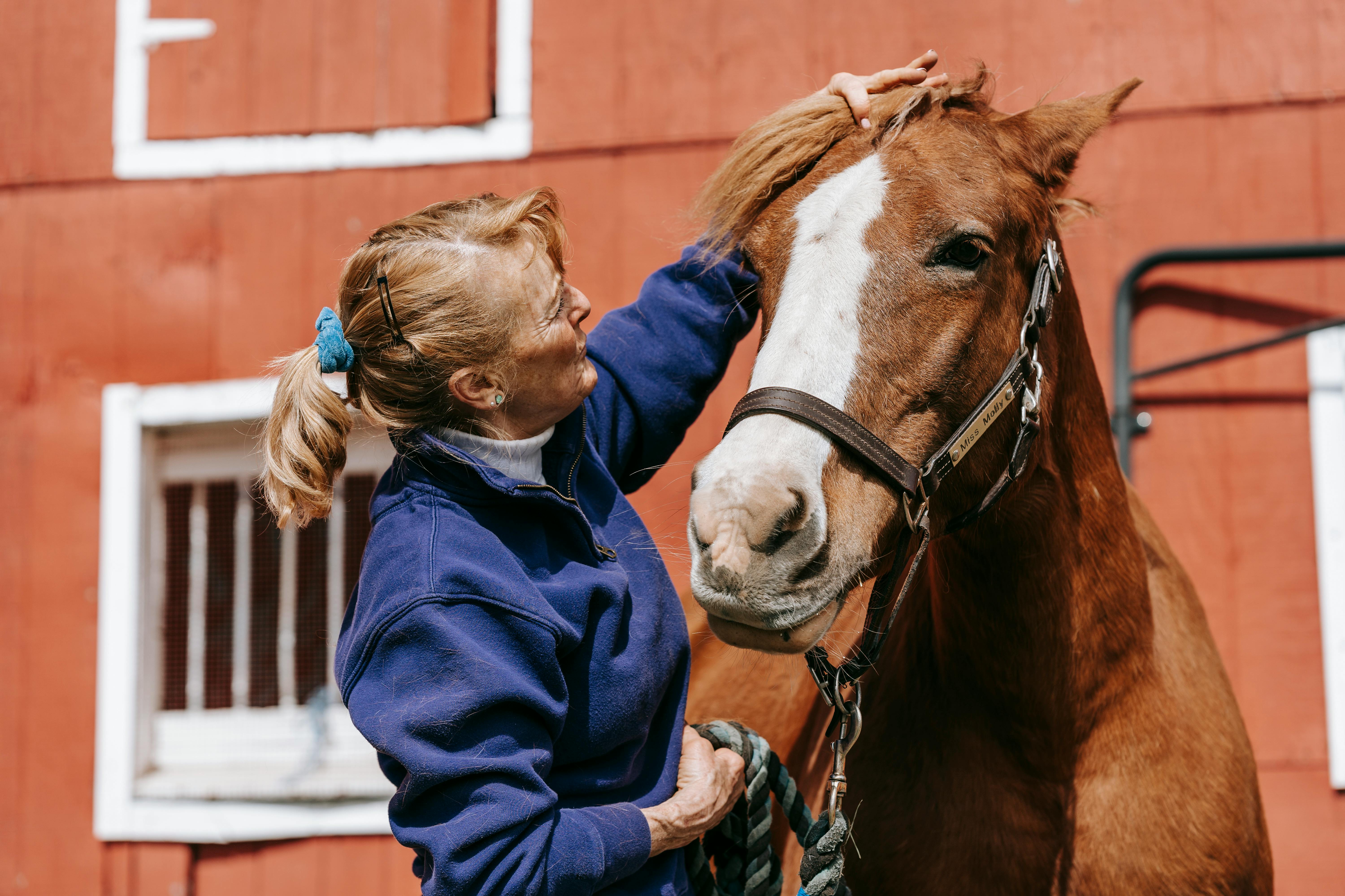 a woman fixing a brown horse s mane