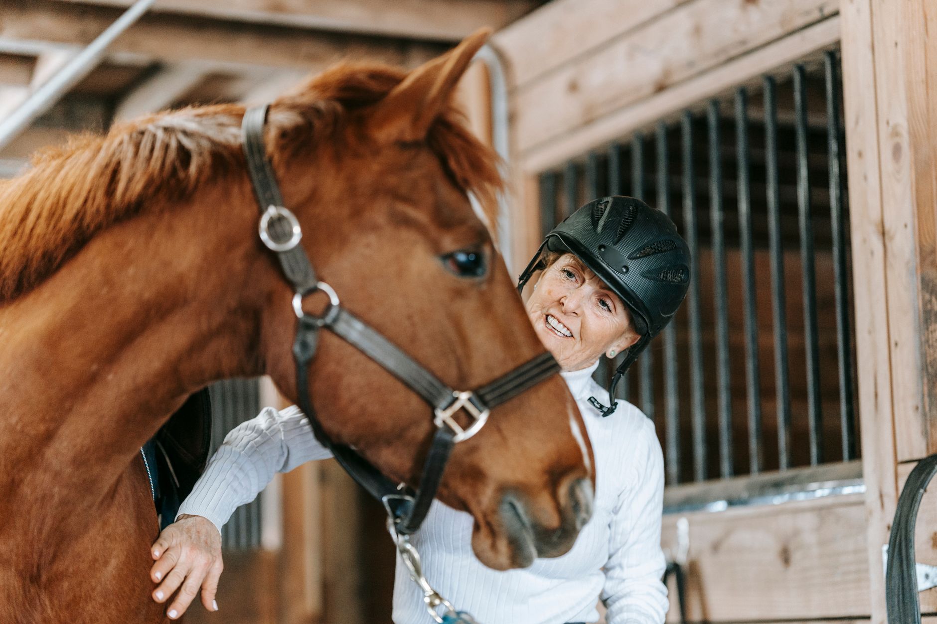 Veterinarian examining a horse during a checkup