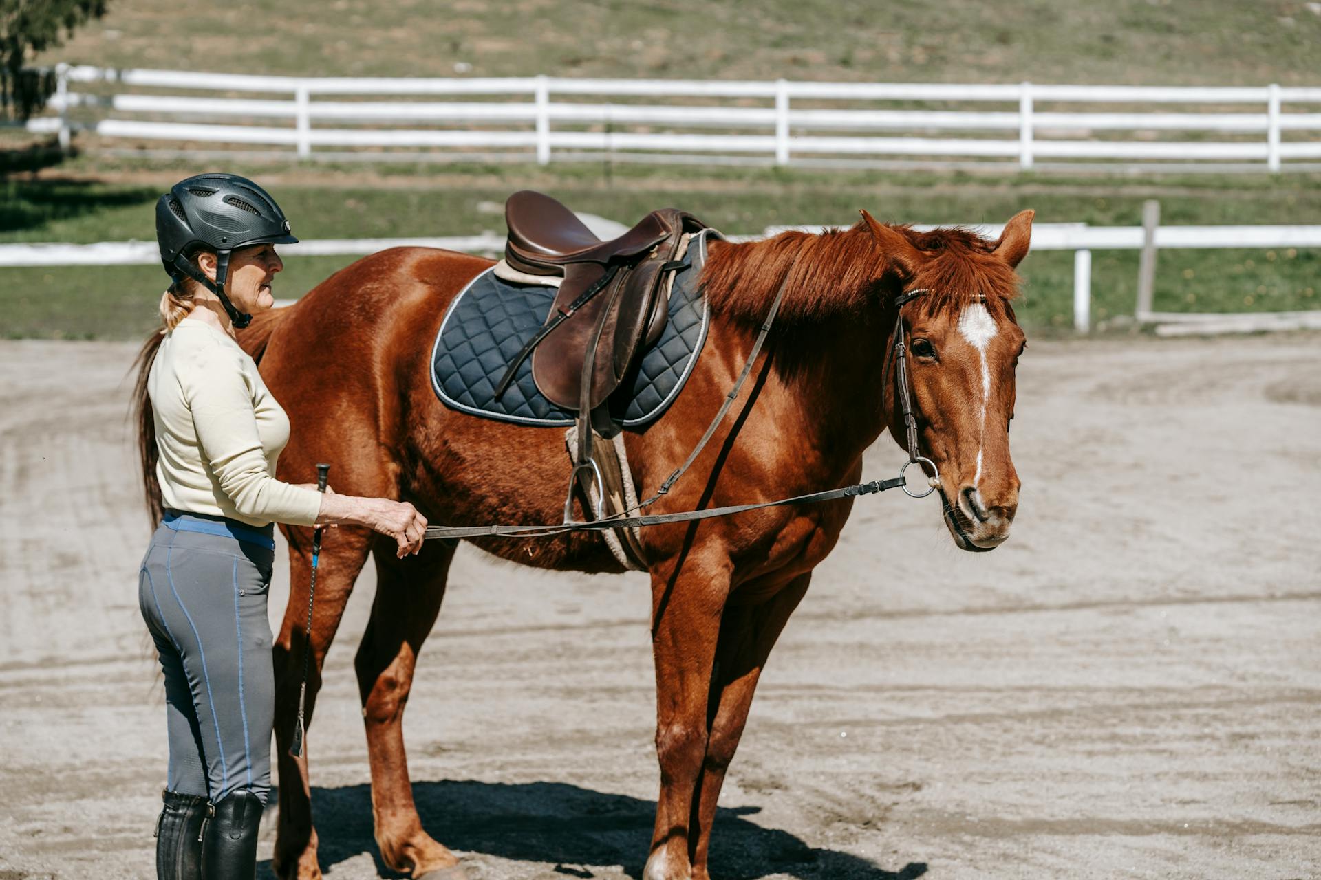 A Woman Holding the Lead Line on a Brown Horse