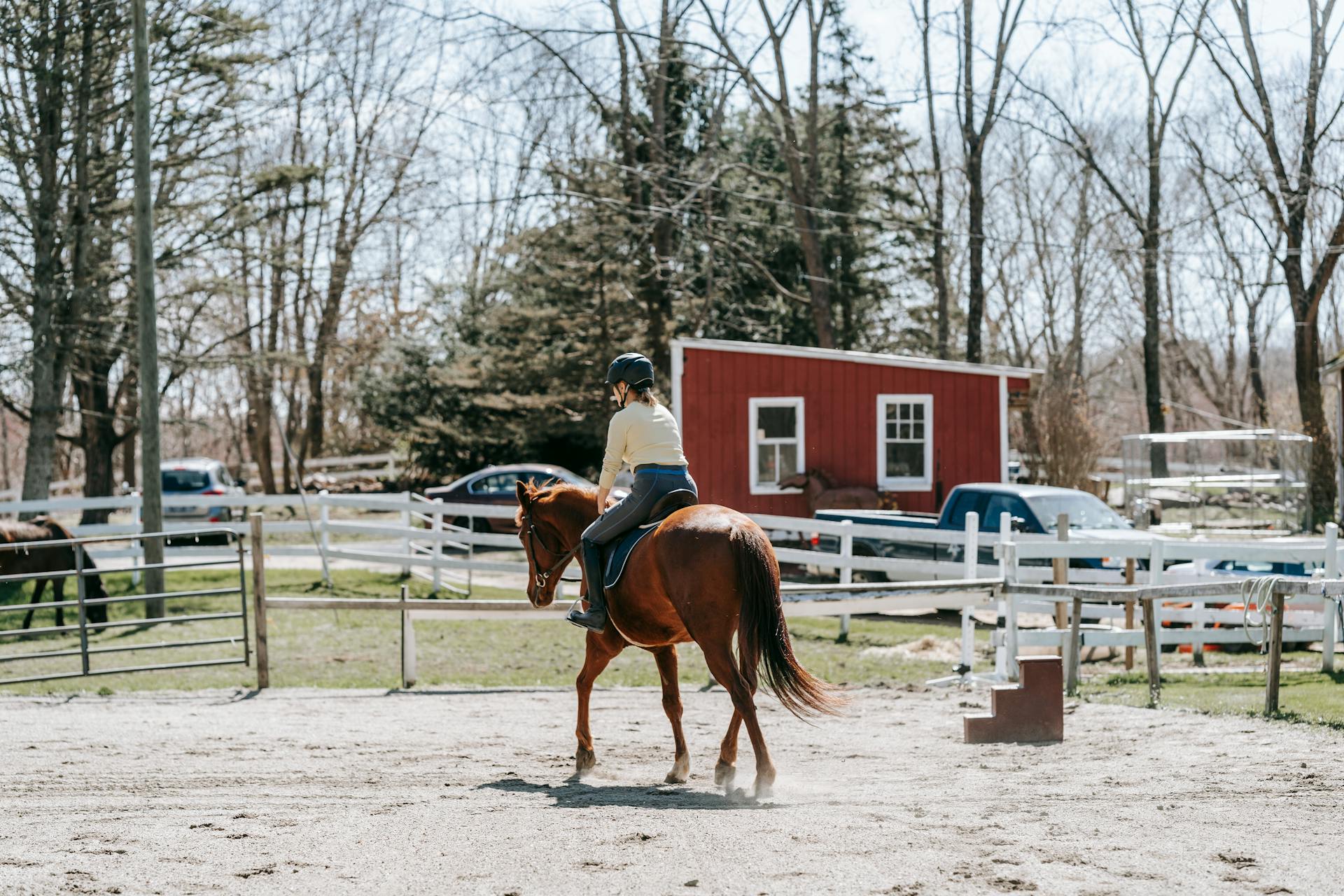 Une femme monte un cheval dans une arène équestre en plein air par une journée ensoleillée.