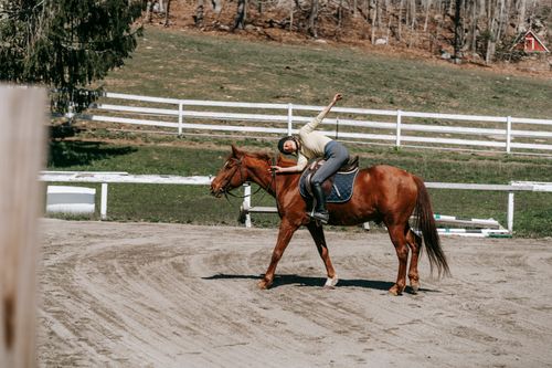 Free A woman in a helmet enjoying dressage riding on a chestnut horse outdoors in a sunny equestrian arena. Stock Photo