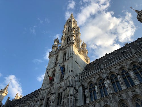 Free Low Angle Shot of the Brussels Town Hall Stock Photo