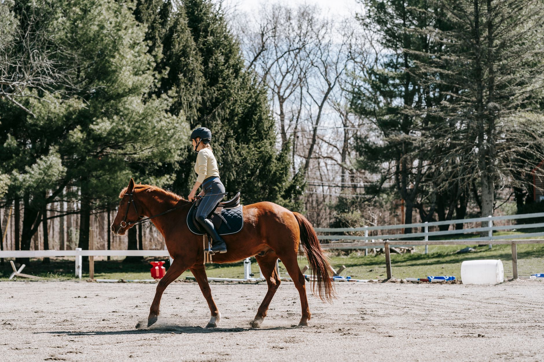 Camps d'équitation
