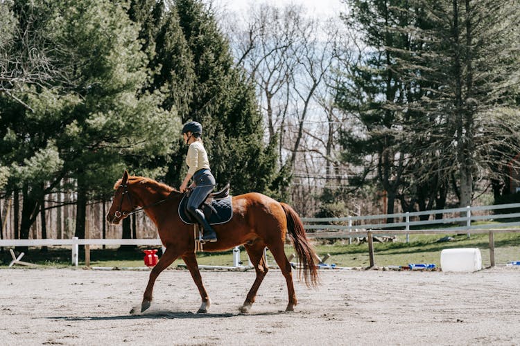 Woman During Horseback Riding Lesson