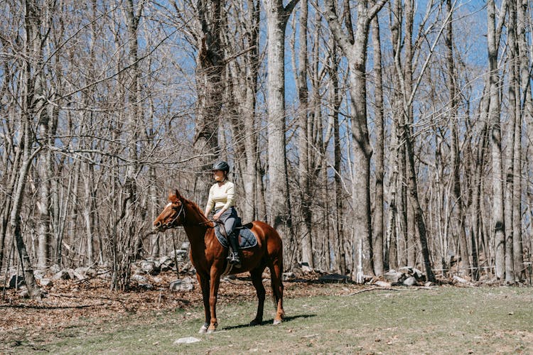 Woman Riding On A Horse In The Forest