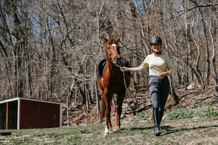 Woman Leading Horse Between Trees