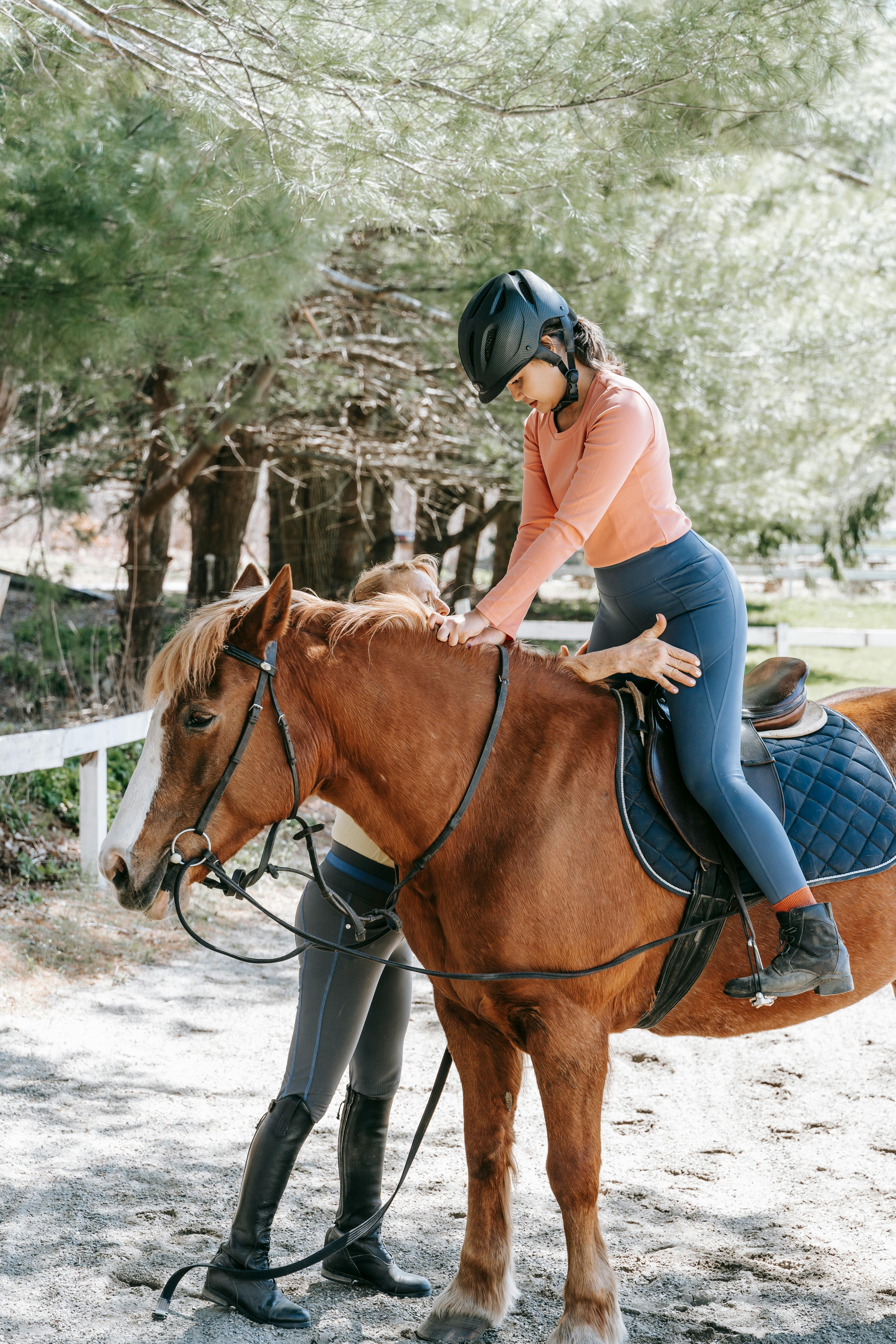 Hobby horse immagini e fotografie stock ad alta risoluzione - Alamy