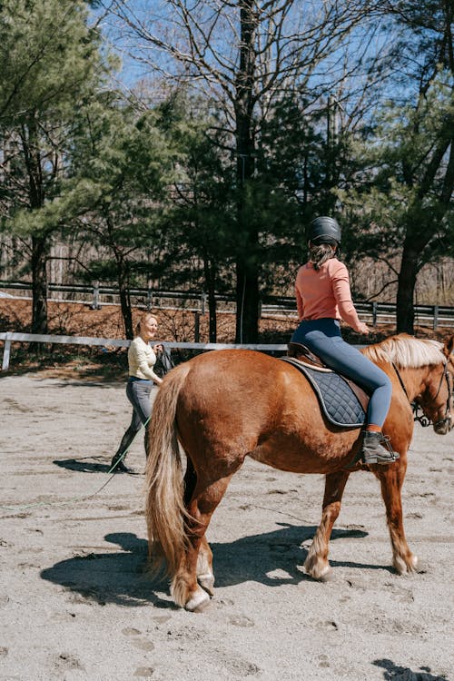 Horseback Riding Lesson