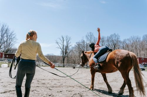 Free A woman stretches on a chestnut horse during an outdoor riding lesson. Stock Photo