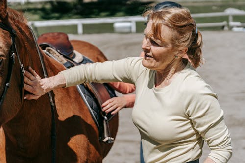 Free Shallow Focus of a Woman Touching the Horse Stock Photo