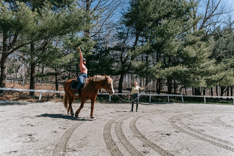 Woman During Horseback Riding Lesson