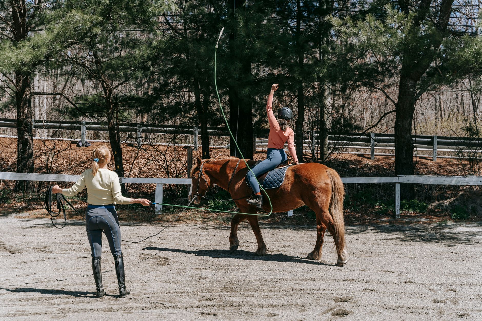 Stages équestres pour enfants