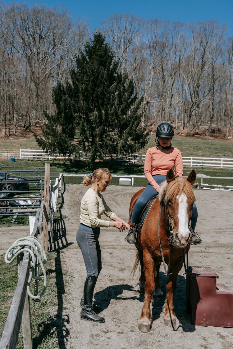  Women And Horse On Riding Lesson