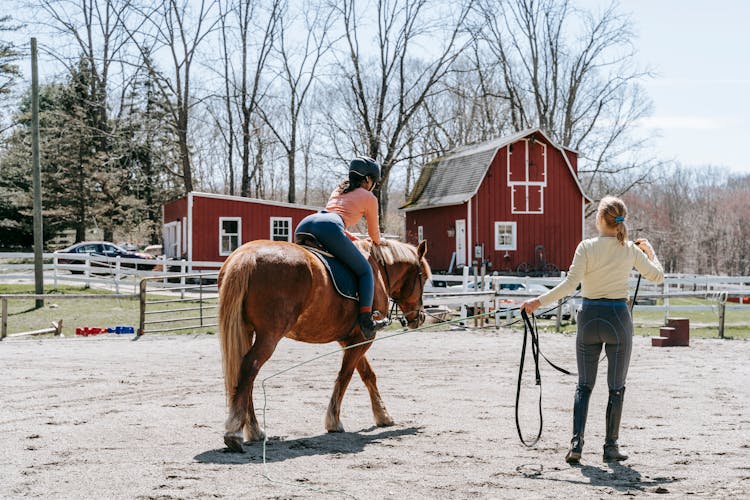 Jockey Women Training With Horse