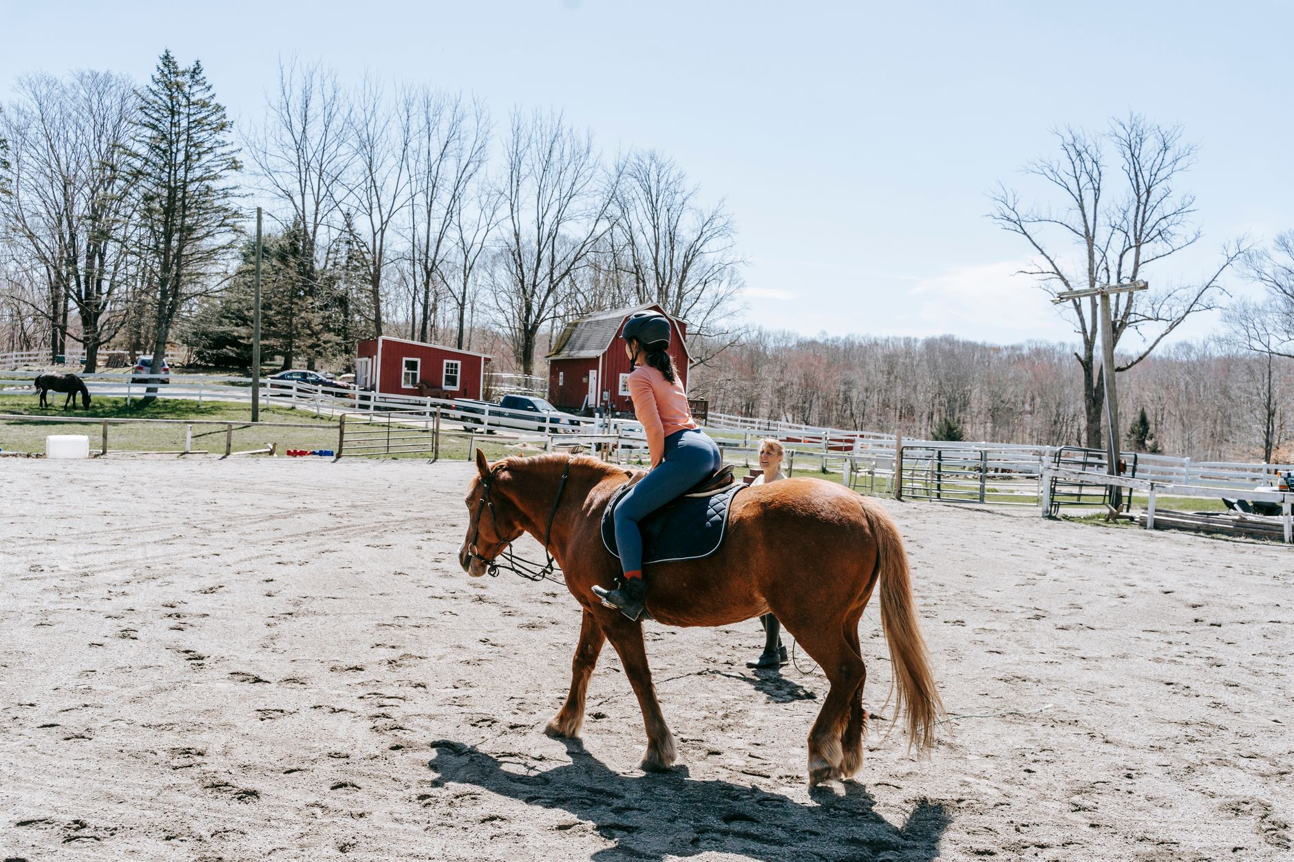 Happy Horses Pony Club