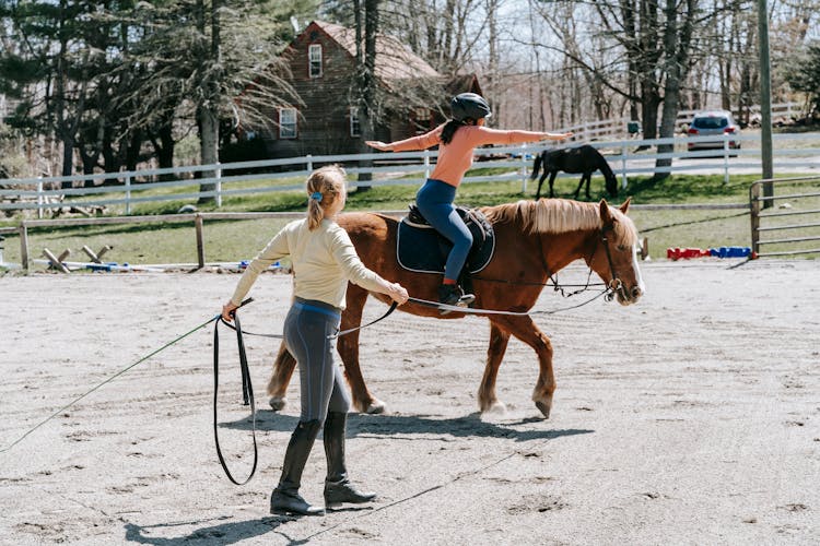 Horseback Riding Lesson 