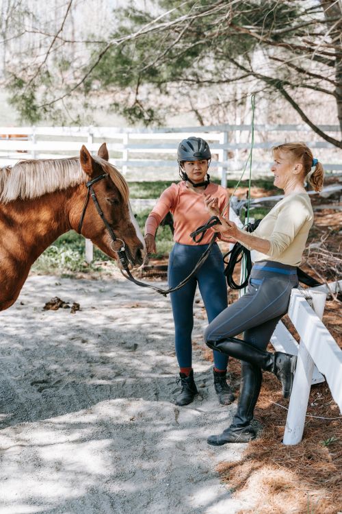 Free Two women interacting with a horse during a training session outdoors. Stock Photo