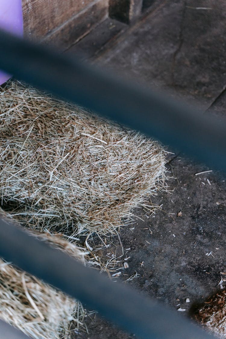 Photograph Of Hay On The Ground