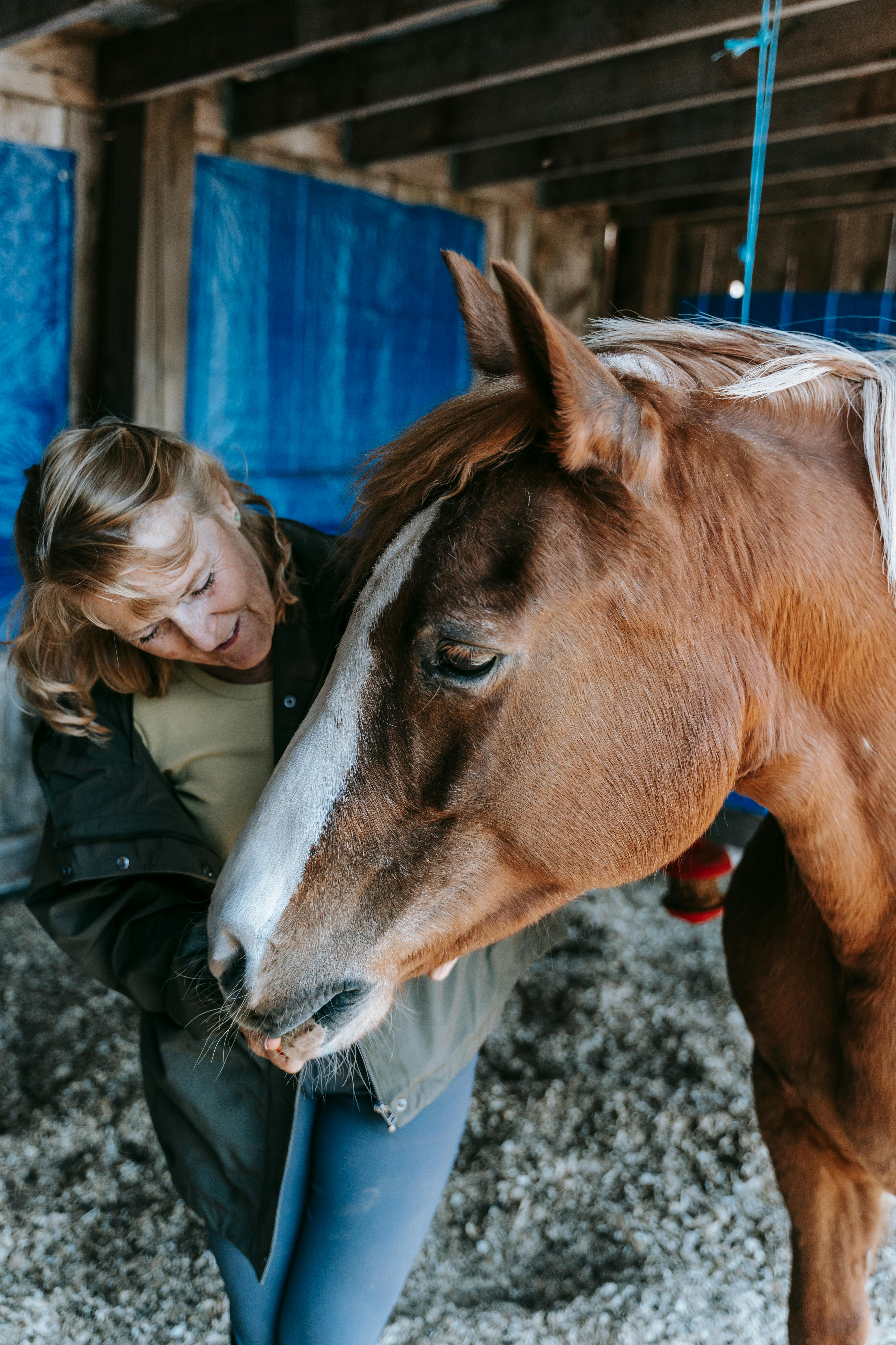 A woman lovingly interacts with a horse in a rustic barn setting, showcasing their bond.