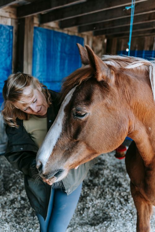 Free A woman lovingly interacts with a horse in a rustic barn setting, showcasing their bond. Stock Photo