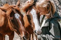 A Woman in Gray Jacket Holding the Brown Horse