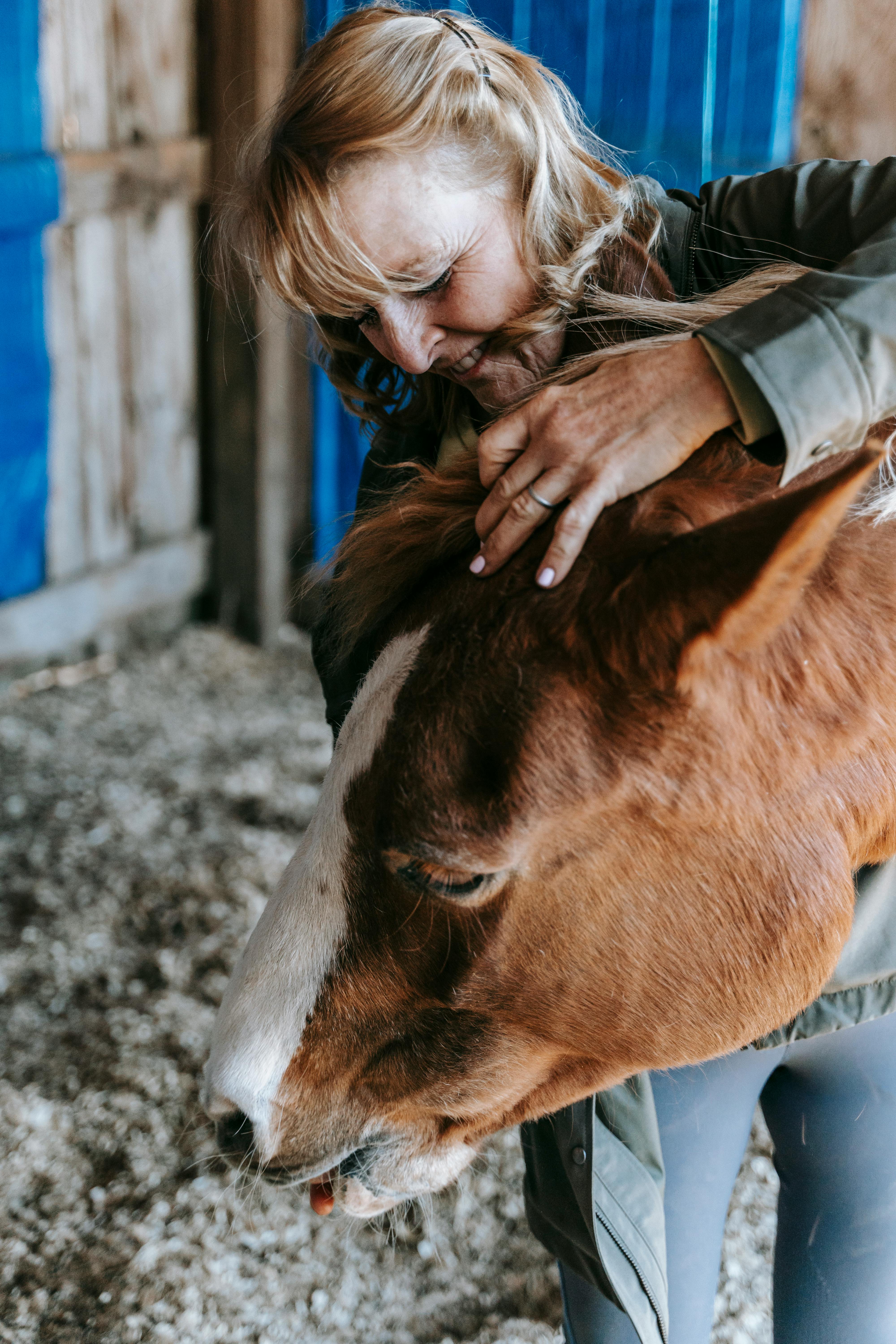 A warm moment of an elderly woman affectionately hugging a brown horse in an indoor stable setting.