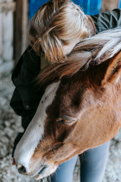 Free A woman gently hugs a horse, showcasing a bond of trust and affection. Stock Photo