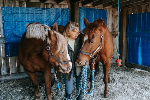 Free Photo of a Woman in a Green Jacket Petting Brown Horses Stock Photo