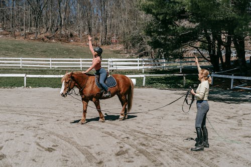 Δωρεάν στοκ φωτογραφιών με άθλημα, άλογο, αναβάτης Φωτογραφία από στοκ φωτογραφιών