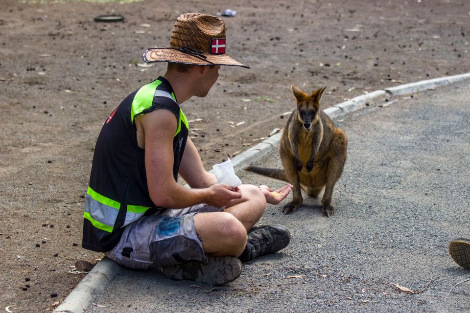 in Australien