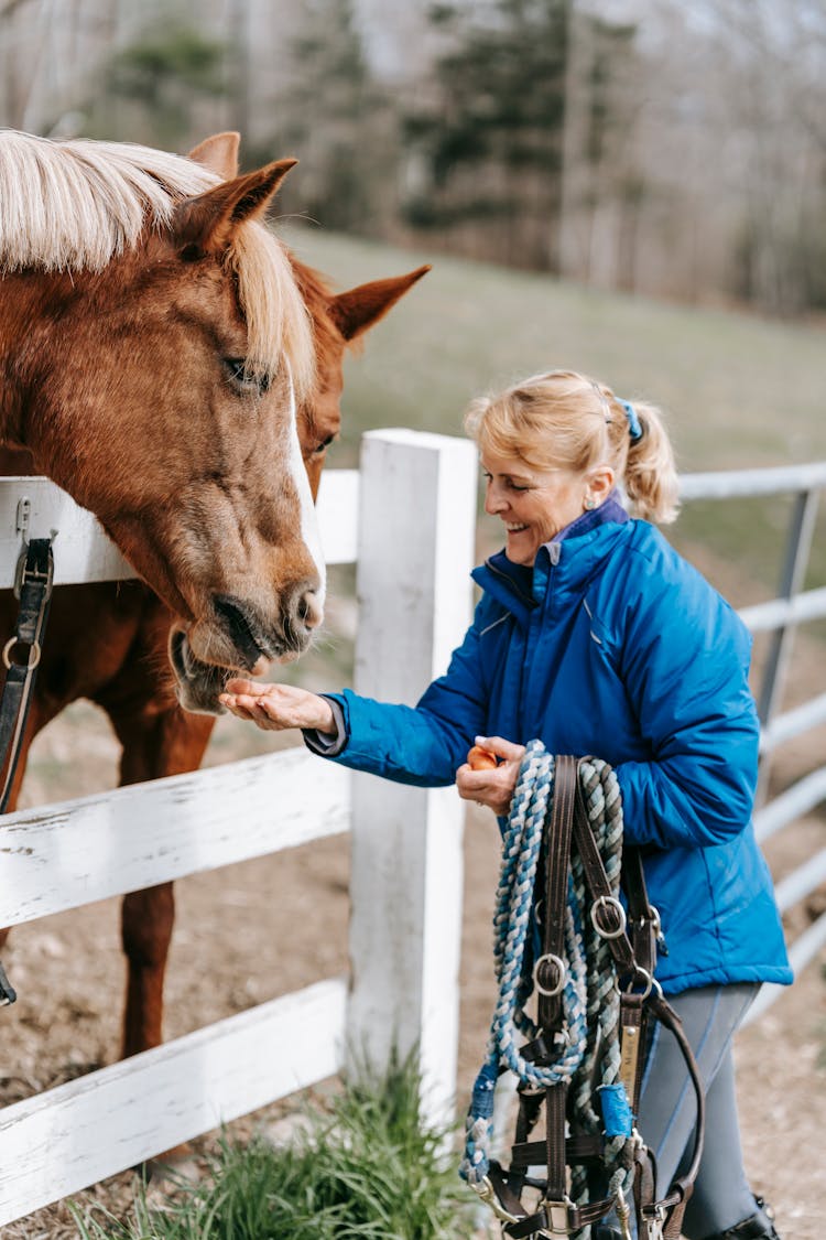  Woman Feeding Horse