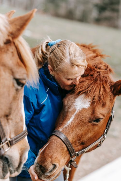 Free A woman lovingly embraces horses outdoors, showcasing a bond between human and animal. Stock Photo