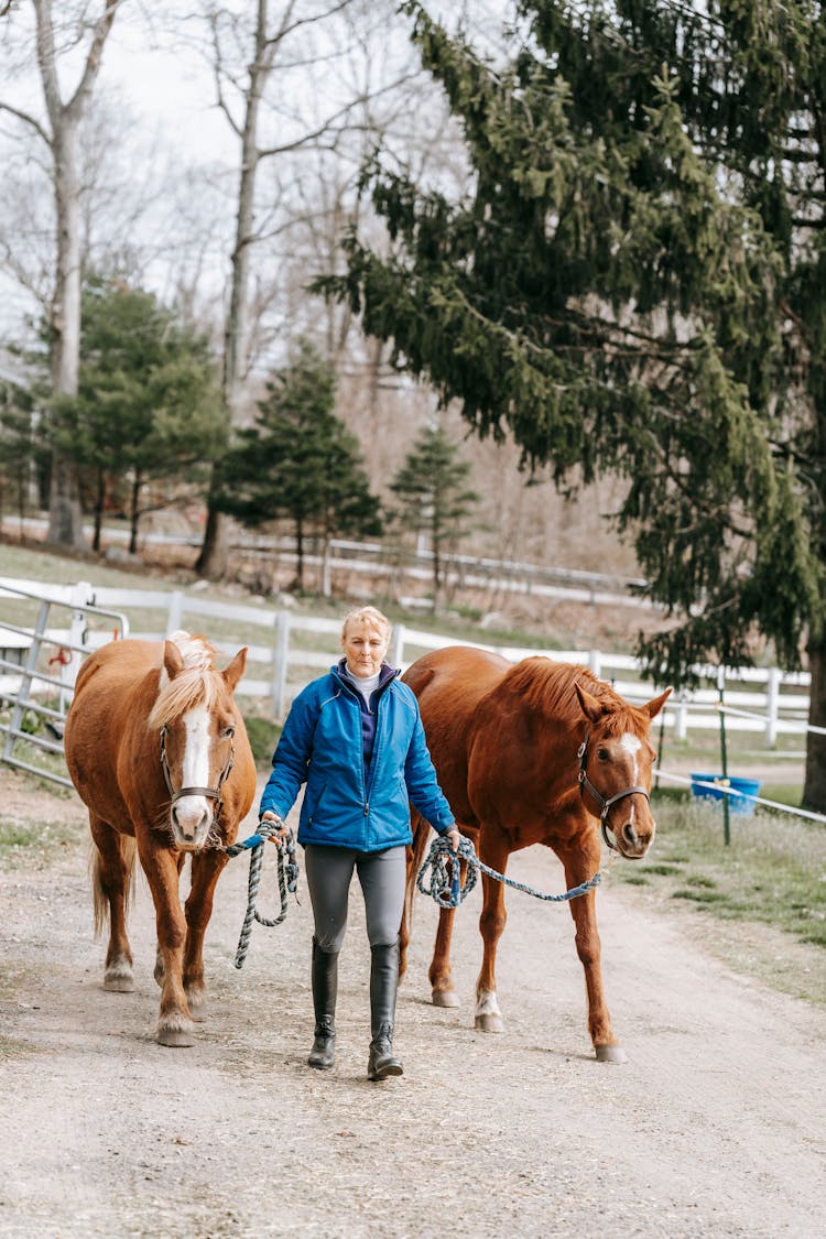 Woman Leading Horses