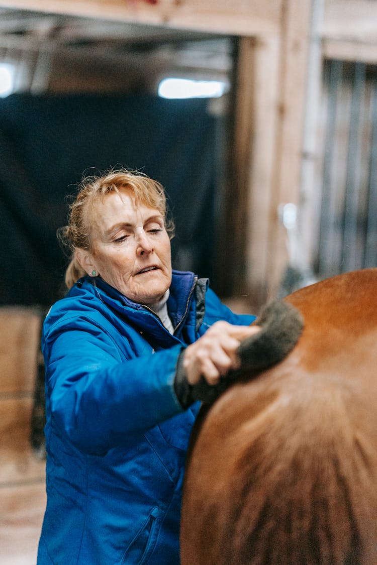 Woman Brushing Horse