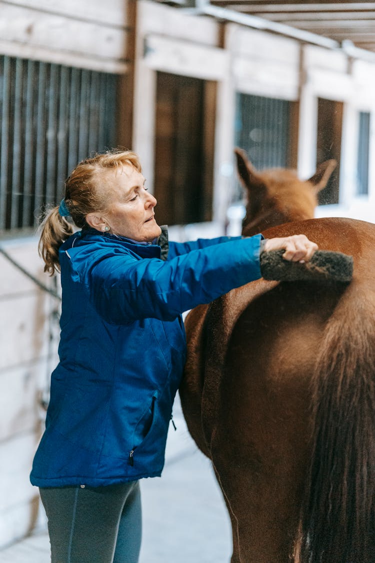 A Woman Brushing A Horse