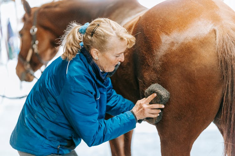 A Woman Brushing A Horse