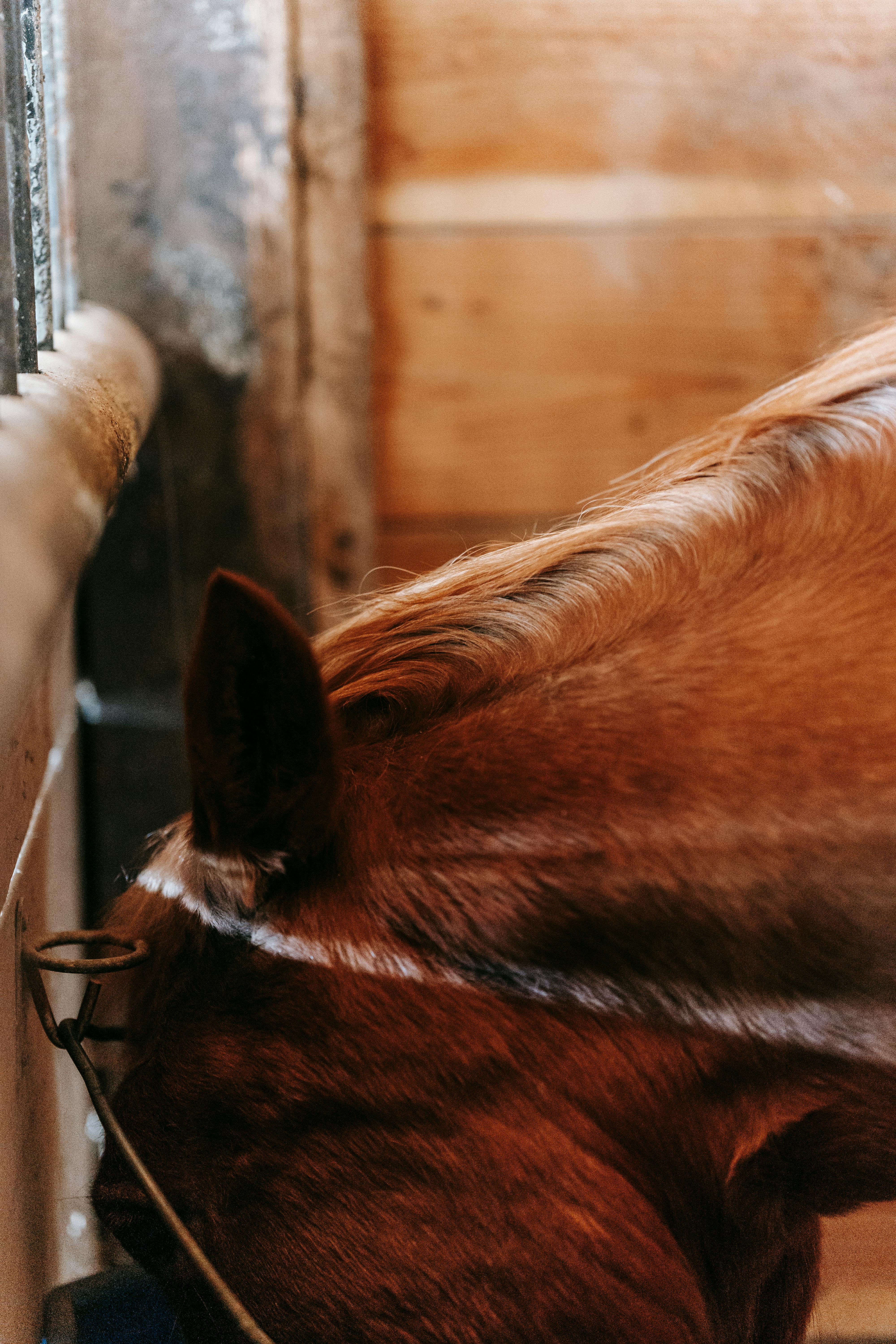 Is photography a stable career?