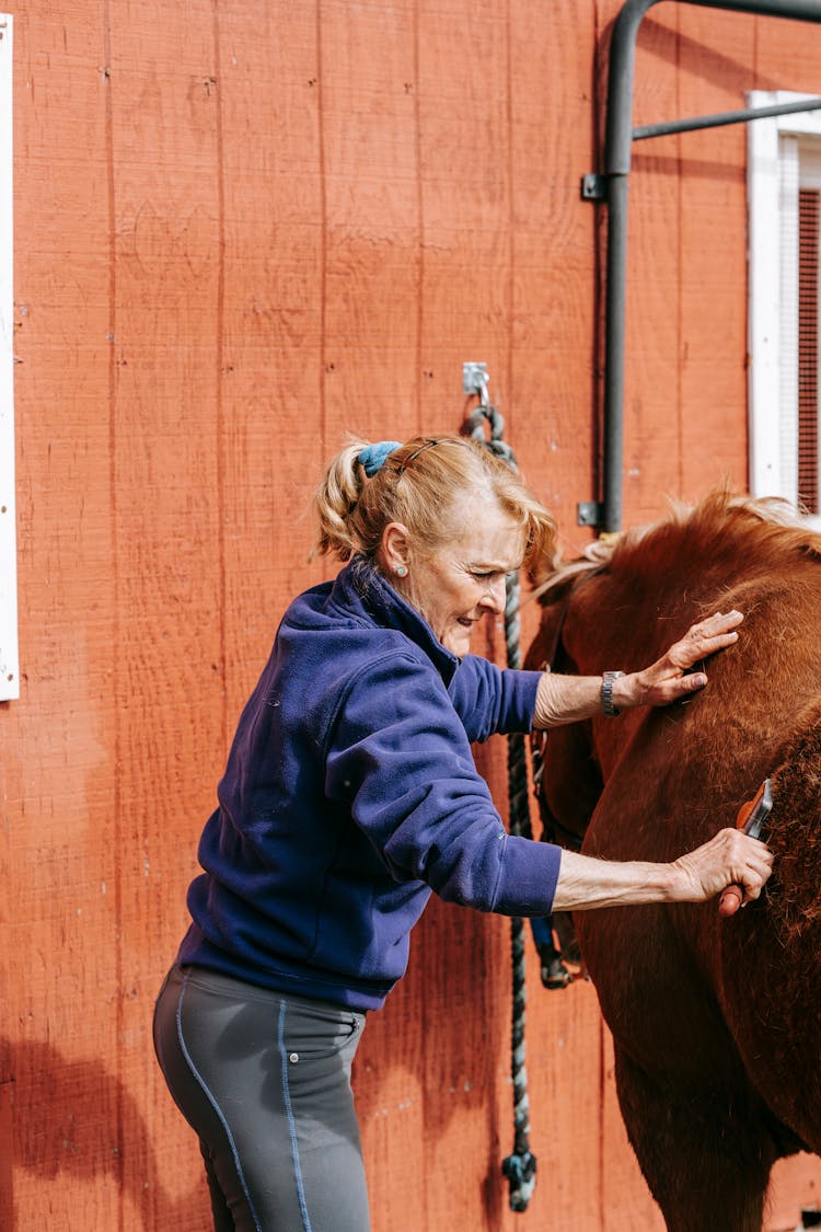 Woman Brushing The Hair Of A Horse