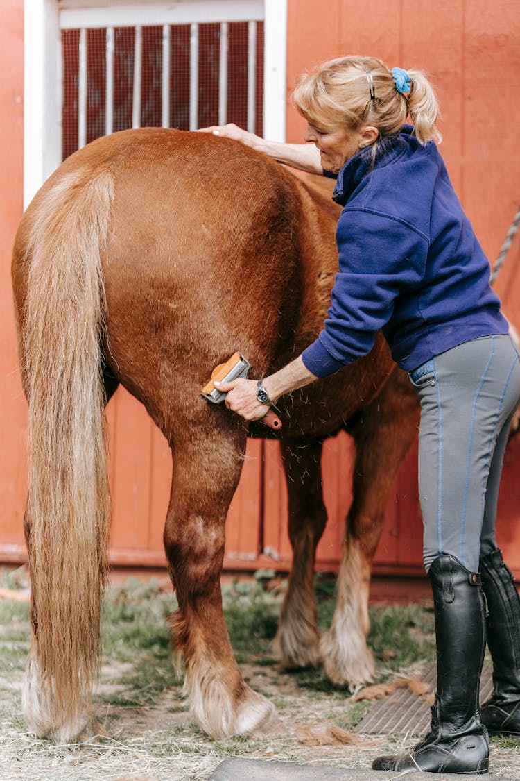 A Woman Grooming A Horse