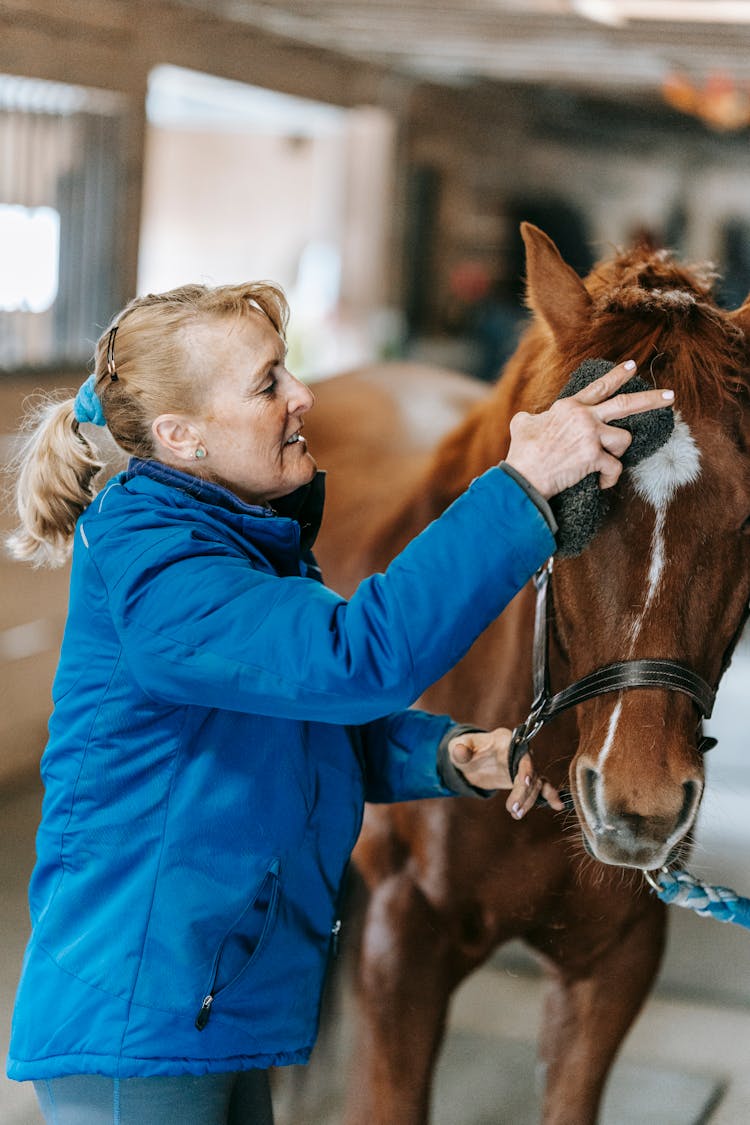 
A Woman Grooming A Horse