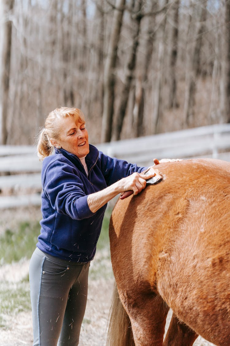 A Woman Grooming A Horse