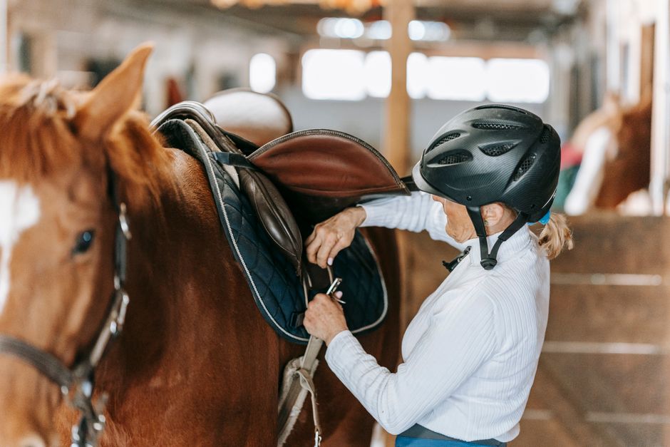 Comment bâtir une culture d'équipe forte : le rôle du leader coach