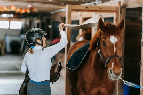 Δωρεάν στοκ φωτογραφιών με αγρόκτημα, άλογο, γυναίκα