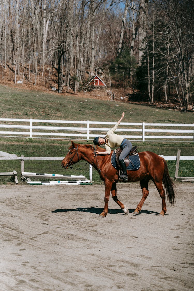 Woman Stretching On Horse